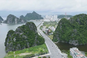 Quý I, tốc độ tăng trưởng kinh tế Quảng Ninh cao thứ 7 cả nước