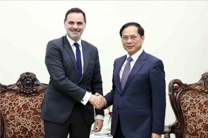 Phó Thủ tướng, Bộ trưởng Ngoại giao Bùi Thanh Sơn tiếp Bộ trưởng Pháp Laaurent Saint-Martin