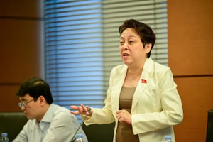 Đại biểu Phạm Khánh Phong Lan: 'Không dẹp cỏ dại thì làm sao lúa mọc'