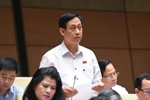 Có cần quy định chi tiết về đơn vị hành chính 2 cấp?