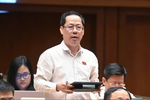 Ai được quyền chất vấn chánh án, viện trưởng khu vực?