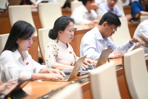 Nhắc đến Vân Đồn, TP.HCM, đại biểu đề xuất nghiên cứu Luật Khu thương mại tự do 