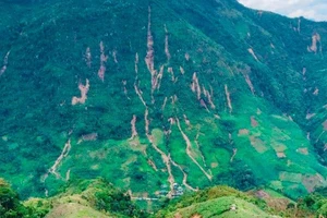 Núi nứt nguy hiểm, di dời khẩn cấp 19 hộ dân ở bản Xói Voi