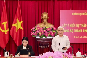 TP.HCM nên hiện đại hóa sân bay Tân Sơn Nhất, phát triển mạng lưới sân bay quốc tế