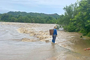 Nhiều địa phương phía Tây tỉnh Gia Lai bị thiệt hại nặng nề do mưa lũ