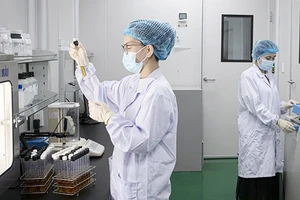 Chính phủ đã ban hành Nghị định 249/2025 quy định cơ chế, chính sách thu hút chuyên gia khoa học, công nghệ, đổi mới sáng tạo và chuyển đổi số. Ảnh: VGP