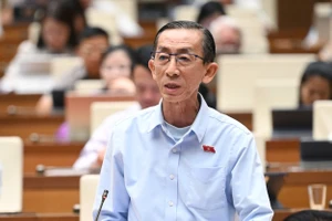 PGS-TS Trần Hoàng Ngân ứng cử ĐBQH khóa XVI tại TP.HCM