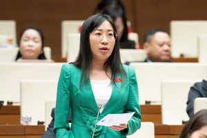 Tranh luận: Có nên trao quyền giám sát cho Tổ đại biểu HĐND