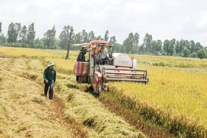 Bộ Chính trị: Quy hoạch 'làng trong phố, phố trong làng' gắn kết chuỗi giá trị trong nước và quốc tế