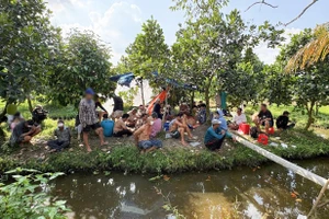 22 người lắc tài xỉu ăn tiền trong vườn mít