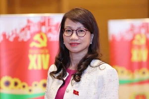 GS.TS Nguyễn Thị Thanh Mai, Giám đốc Đại học Quốc gia TP.HCM, ứng cử ĐBQH khóa XVI tại TP.HCM