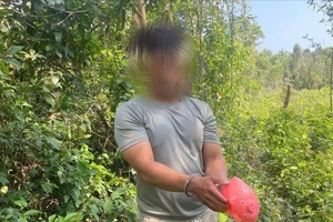 20 ngày gây ra 7 vụ trộm ở Quảng Ngãi