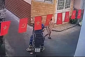Công an TP.HCM mời làm việc một phụ nữ trộm mèo cảnh