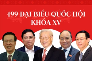 Infographic: Chân dung 499 đại biểu Quốc hội khóa XV