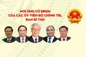 Các Ủy viên Bộ Chính trị, Ban Bí thư ứng cử ĐBQH ở đâu?