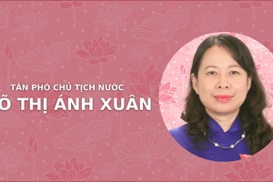 Chân dung tân Phó Chủ tịch nước Võ Thị Ánh Xuân