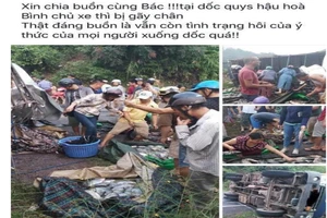 Xe cá bị lật, dân mua lại cá giúp chủ xe bớt thiệt hại