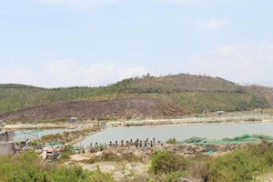 Được giao dịch đất trở lại tại Khu kinh tế Vân Phong