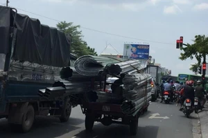 Hoảng hồn với những 'hung thần' thong dong trên phố