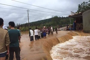 Đã tìm thấy thi thể ba người bị đồi lở nuốt chửng ở Đắk Nông