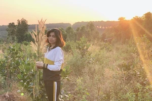 Những hoa thơm, cỏ lạ hút hồn dân phượt khi đến Tây Nguyên