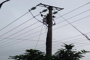 Hai người bị điện giật chết lâm sàng được cứu sống