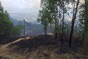 Đã dập tắt vụ cháy rừng trên khu di tích núi Chứa Chan