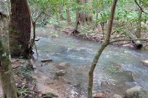 Được nghỉ học đi chơi, ba học sinh lớp 7 chết đuối