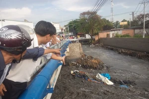 Công an vào cuộc vụ bờ kè tiền tỉ bị sập sau cơn mưa