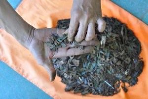 Ủy ban ATGT Quốc gia đề nghị xử lý nạn đinh tặc trên quốc lộ 51