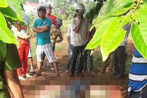 Phát hiện thi thể nam thanh niên treo cổ trên núi