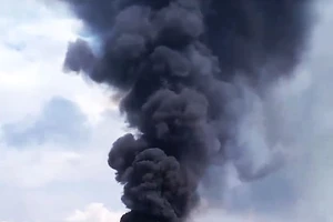 Cháy trong Công ty Vedan