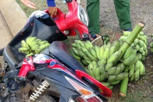 Truy đuổi gần 10 km bắt trộm... chuối