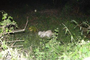 Thông tin mới về vụ cô gái chết khỏa thân trong bao tải