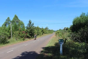 Mất 17 ha rừng để làm đường ven hồ Trị An