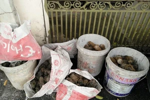 Đào móng nhà, hốt hoảng phát hiện cả 'kho' đạn M79