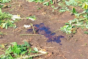 Thông tin mới về vụ nữ sinh lớp 11 bị bắn ở Đồng Nai