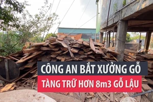 Phát hiện 1 xưởng gỗ tàng trữ hơn 8 m3 gỗ lậu