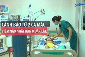 Cảnh báo từ 2 ca mắc viêm não Nhật Bản ở Đắk Lắk 
