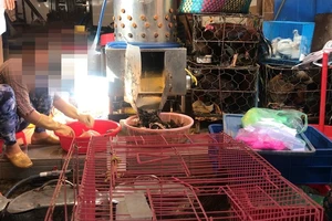 Ngán ngại với tình trạng giết mổ gia cầm sống tại các chợ 