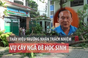 Họp báo vụ cây phượng bật gốc làm 1 học sinh tử vong