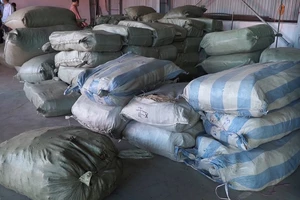 Bắt 103 tấn dược liệu đội lốt củ quả khô nhập vào Đà Nẵng