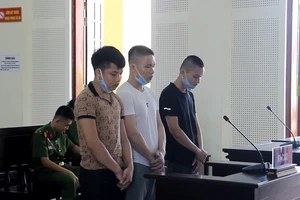 Nghệ An: Giấu ma túy dưới cột điện, ba thanh niên bị kết án tù