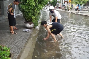 Người Đà Nẵng ra đường bắt cá sau trận mưa lớn suốt đêm