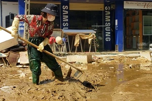 Huyện Lệ Thủy: Người dân cần gạo và tiền để tái sản xuất