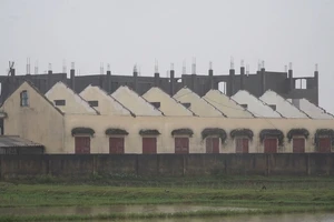 Một trường tiểu học ở Quảng Bình tan hoang sau bão