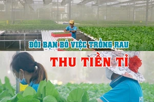 Độc đáo vườn rau thủy canh của đôi bạn Tuấn - Ngọc