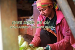 Cọng hành, bó cải và ‘má Phượng’ của người nghèo