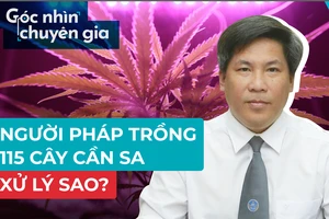 Người Pháp trồng cần sa: Xử phạt như thế nào?