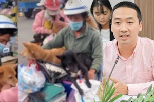 Video: Lý, tình trong vụ tiêu hủy 13 chú chó ở Cà Mau 